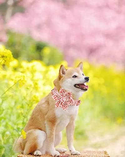 Elegant Little Tail Valentine's Heart Dog Collar, Cute Detachable with Flower, Gift Pet Collar Adjustable for Small Puppy