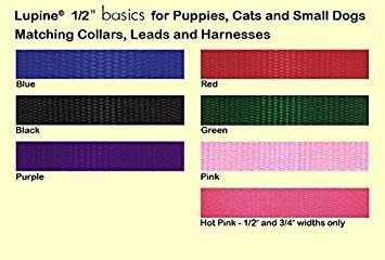 LupinePet Basics 1/2" Green 30-foot Extra-Long Training Lead/Leash for Small Pets