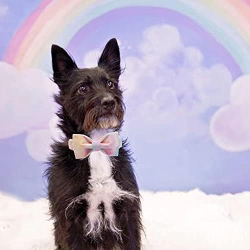Elegant little tail Colorful Dog Collar, Comfortable Dog Collar with Bow Adjustable Soft Bow tie Dog Collars for Large Dogs