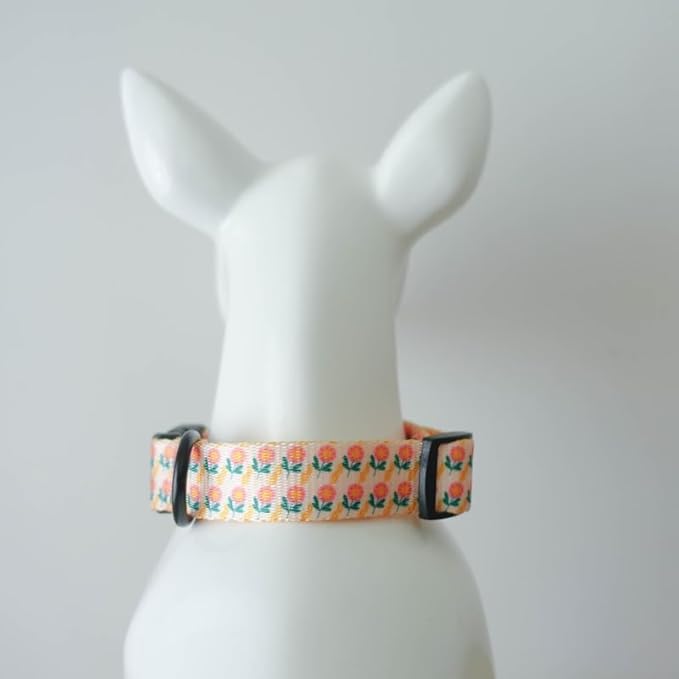 Dog Collars for Small Dogs - Safety Buckle Durable Plastic Light-Weight, Soft Adjustable Boy Dogs Collar for Small Dog Collar with Fruit Patterns (Orange Flower, S)