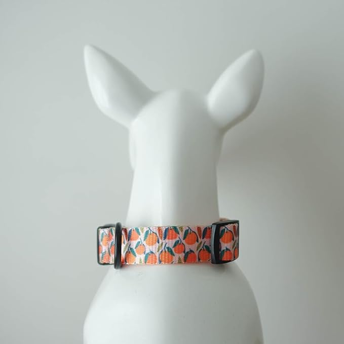 Dog Collars for Large Dogs - Safety Buckle Durable Light-Weight Buckle, Girl Dogs Collar for Big Dog Collar with Fruit Patterns - Soft Adjustable Sturdy Nylon Pet Collars (Orange, L)