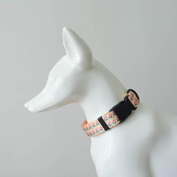 Dog Collars for Small Dogs - Safety Buckle Durable Plastic Light-Weight, Soft Adjustable Boy Dogs Collar for Small Dog Collar with Fruit Patterns (Orange Flower, S)