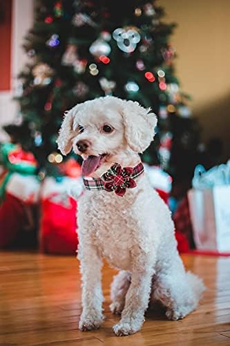 Elegant little tail Flower Christmas Dog Collar for Female or Male Dogs, Gift Pet Collar Adjustable Dog Collars for Large Dogs