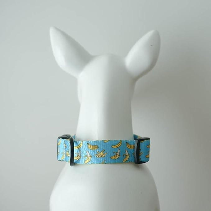 Dog Collars for Medium Dogs - Safety Buckle Durable Plastic Light-Weight, Girl Boy Dogs Collar for Medium Dog Collar with Cute Fruit Patterns Soft Adjustable (Banana, M)