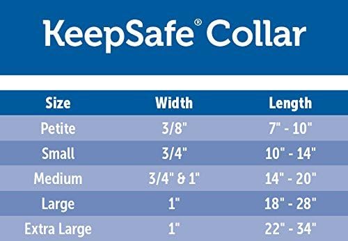PetSafe KeepSafe Collar for Dogs - Protects Against Collar Accidents - Long Lasting - Durable - Adjustable - Breakaway - Outdoor-Safe - Small - 3/4 in. Wide - Blue