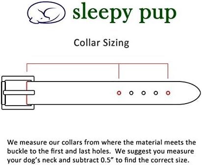 Waterproof Dog Collar (Large: 18"-22", Black)