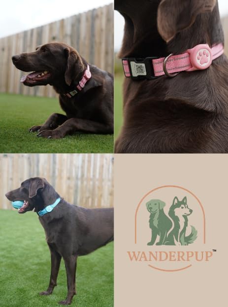 Dog Collar with AirTag Holder, QR Code Tracking, Paw Print Covers, Multi-Color (Blue)