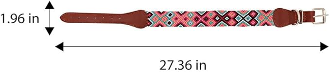 Eternia Premium Leather Dog Collar - Adjustable Handcrafted Collar for Small to Large Dogs (Pink/Orange, XL)
