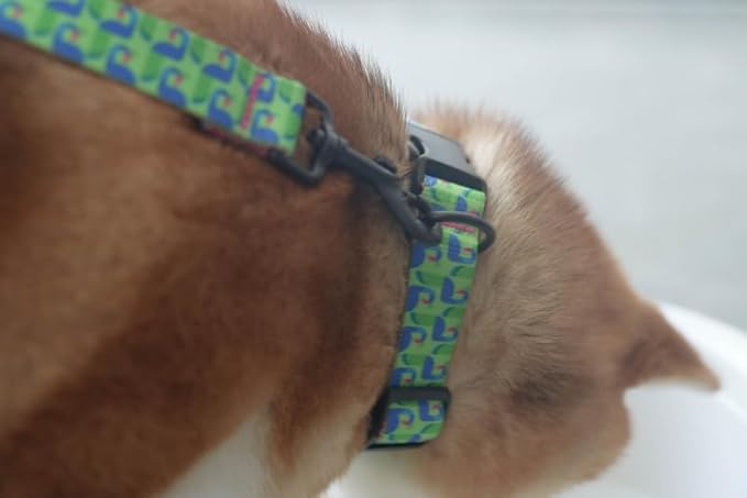 Dog Collars for Large Dogs - Safety Buckle Durable Light-Weight, Boy Girl Dogs Collar for Big Dog Collar with Cute Patterns - Soft Adjustable (Green&Pink, L)