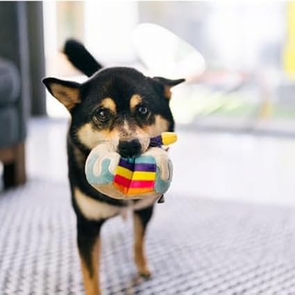 P.L.A.Y. Cute Plush Dog Toys - Birthday Party Celebration Themed Durable Squeaker Chew Toy, for Puppies & Small, Medium, Large Dogs - Machine Washable, Recycled Material (Bone-appetite Cake, X-Small)