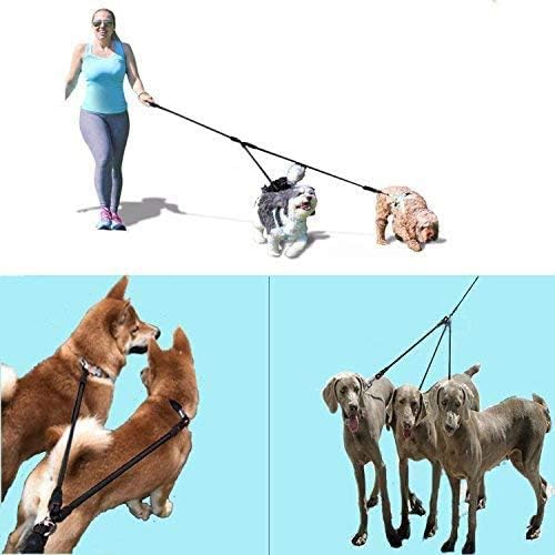 Heavy Duty 3 Dog Leash for Large Dogs No Tangle Detachable 360° Swivel Device with Padded Handle for Two/Three Pets