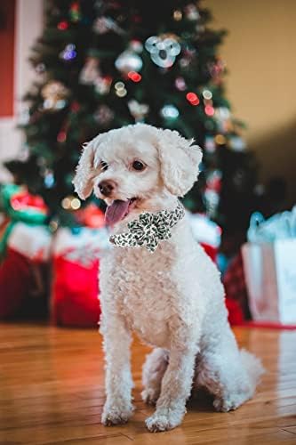 Elegant little tail Christmas Dog Collar, Female or Male Dog Collar Flower, Pet Collar Adjustable Dog Collars with Flower for Small Medium Large Dogs