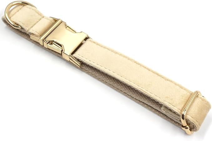 PETDURO Custom Dog Collar Personalized with Name Engraved Quick Release Rose Gold Metal Buckle for Large Medium Small Girl Dogs - Dog Leash and Bow Tie Available - Soft Comfy Velvet (Pale Brown, M)