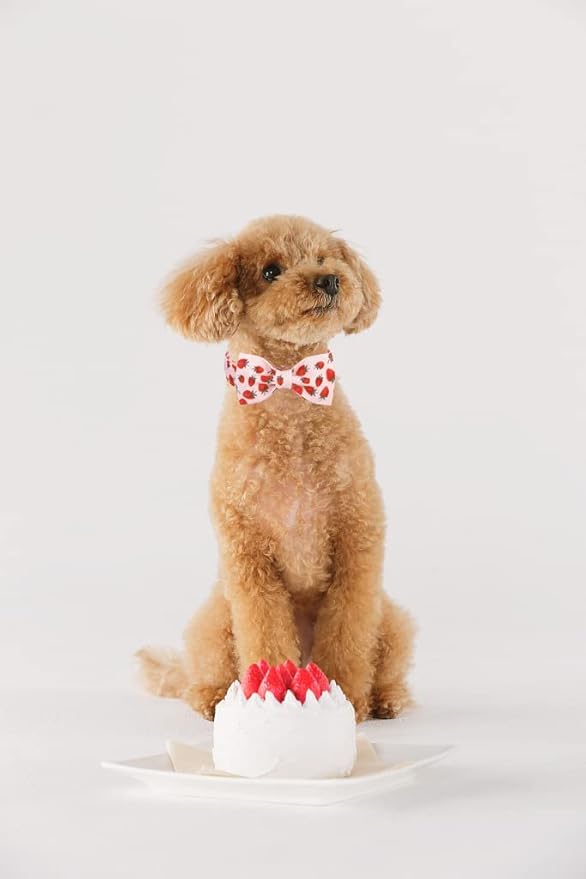 Lionet Paws Dog Collar with Bowtie - Summer Cute Cotton Adjustable Bowtie Dog Collar with Metal Buckle for Large Dog Girl Boy, XL, Neck 16-26in