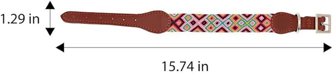 Eternia Premium Leather Dog Collar - Adjustable Handcrafted Collar for Small to Large Dogs (Pink/Orange, S)