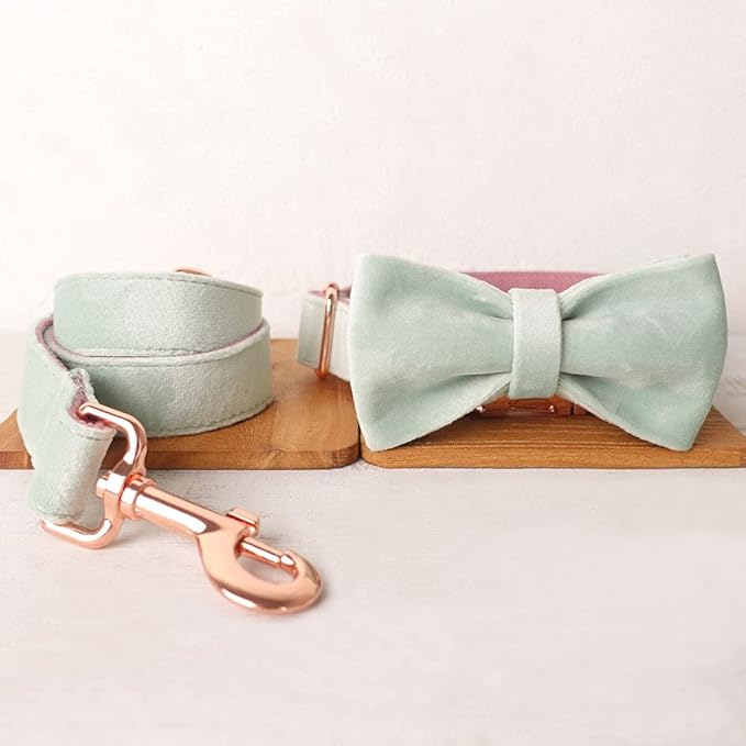 PETDURO Custom Dog Collar Personalized with Name Engraved Quick Release Rose Gold Metal Buckle for Large Medium Small Girl Dogs - Dog Leash and Bow Tie Available - Soft Comfy Velvet (Mint Pink, M)