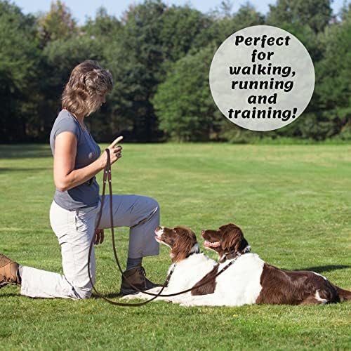 ADITYNA - Premium Leather Dog Leash - 6 ft, Heavy-Duty, Soft & Strong for Small/Medium Dogs - Perfect for Walking, Training, Hiking, and Running (Medium: 6 ft x 5/8", Brown)