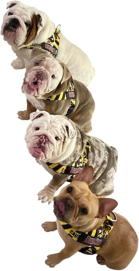 BULLHUG Adjustable Dog Harness– No Pull, No Choke – for English Bulldogs, French Bulldogs, Pugs & Broad-Chested Breeds – Easy, Safe Walks (Caution, Large)