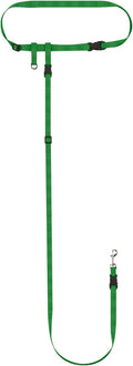 The Buddy System Hands Free Dog Leash, Adjustable Leash for Running, Jogging, Training and Service Dogs, Great for Small, Medium and Large Dogs, Made in USA (Green, Small Dog System (Large Belt))