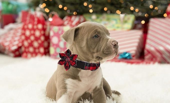 Lionet Paws Christmas Dog Collar with Flower, Dog Flower Collar with Metal Buckle for Dogs, Adjustable Comfortable Dog Collar Girl Gift, M, Neck 13.5-22 in
