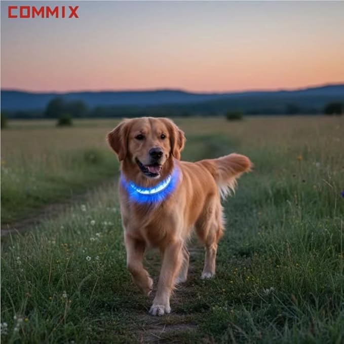 2-Pack Flash LED Pet Safety Collar Light Band - Blue