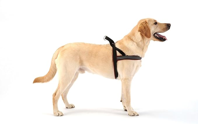 ComfortFlex Sport Dog Harness – No-Choke, Fully Padded, Non-Chafing Harness with Control Handle – Reflective, Lightweight, Adjustable for Active Dogs - Large, Raven Black