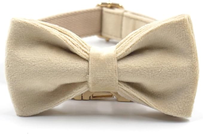 PETDURO Custom Dog Collar Personalized with Name Engraved Quick Release Rose Gold Metal Buckle for Large Medium Small Girl Dogs - Dog Leash and Bow Tie Available - Soft Comfy Velvet (Pale Brown, M)
