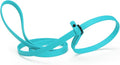 Dogline Biothane Slip Dog Leash - for Small, Medium and Large Dogs - Odor Free Slip Lead, Heavy Duty and Durable Material Kennel Lead - Sky Blue - 7ft L x 5/8in W
