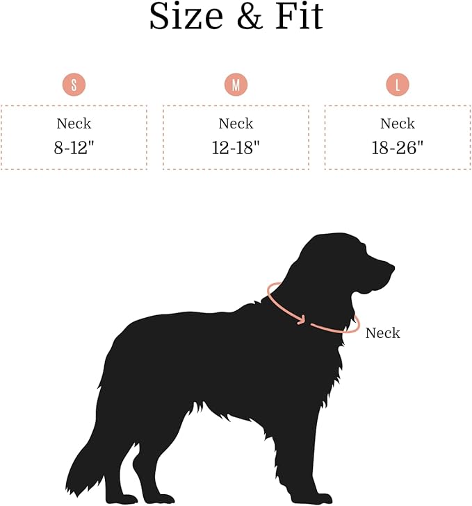 2026 New Edition, Fei & Eve Classic Dog Collar - Quick Release Metal Buckles | Fur-Safe | Premium 210D Nylon | 450LB Escape-Proof | Adjustable Fit | Small (Blush)