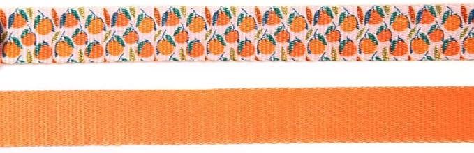 Dog Collars for Small Dogs - Safety Buckle Durable Light-Weight, Girl Boy Dogs Collar for Small Dog Collar with Cute Fruit Patterns Soft Adjustable (Orange, S)