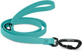 DogTraxs - Essential Dog Leash - Biothane Training Lead - for Small-Large Dogs - Waterproof & Odor Resistant - Self Locking Swivel Carabiner Durable - Made in USA - 4 Feet - Turquoise