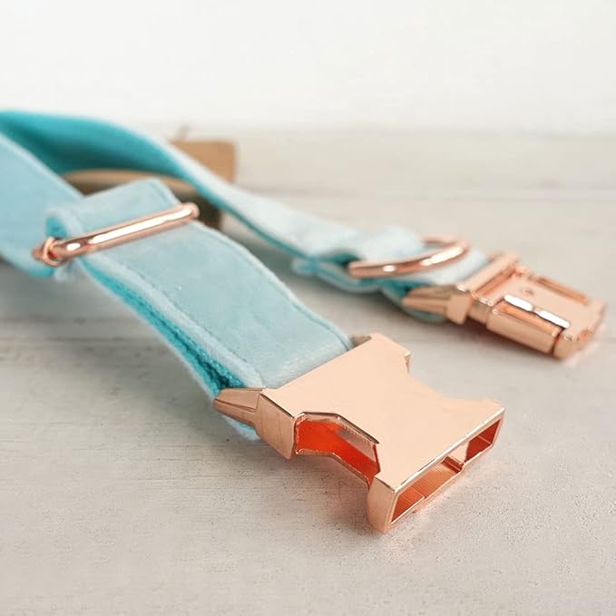 PETDURO Custom Dog Collar Personalized with Name Engraved Quick Release Rose Gold Metal Buckle for Large Medium Small Girl Dogs - Dog Leash and Bow Tie Available - Soft Comfy Velvet (Mint Blue, XL)
