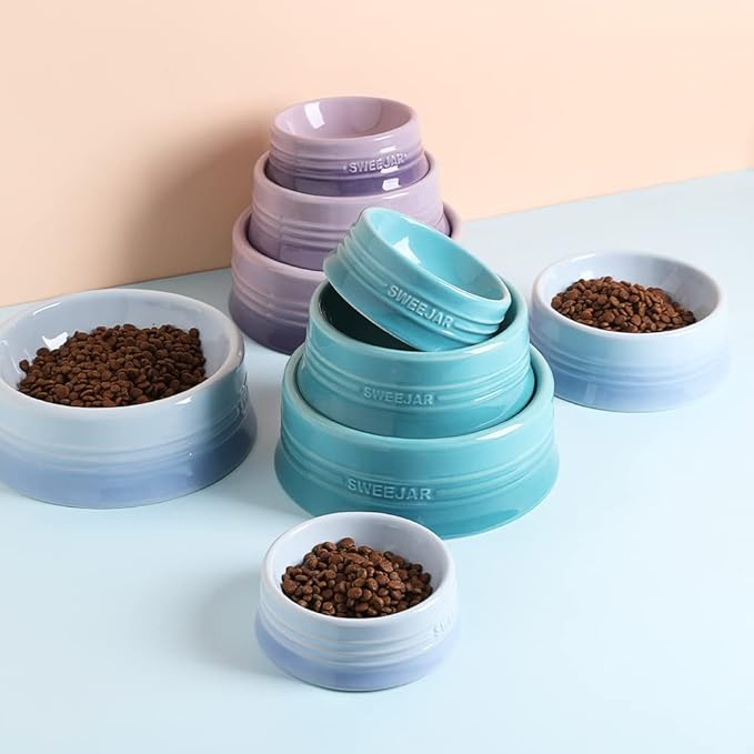 Sweejar Gradient Dog Bowl, Ceramic Dog Food Dish for Puppy and Kitten, Porcelain Pet Bowl for Food and Water 8 oz (Gradient Light Blue)
