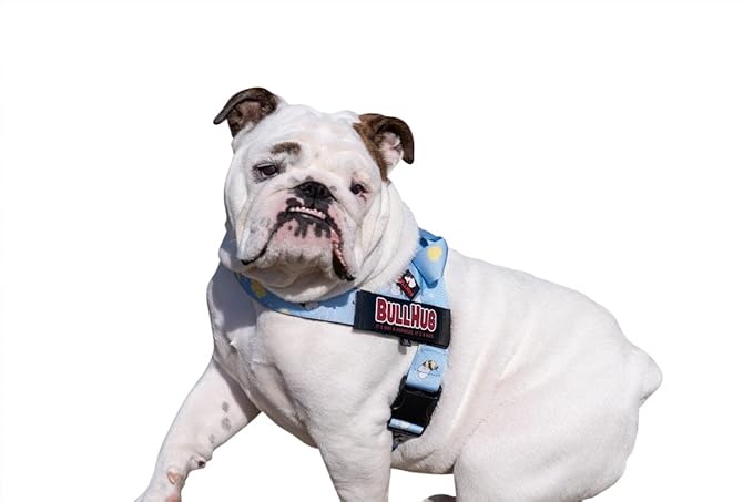 BULLHUG Adjustable Dog Harness– No Pull, No Choke – for English Bulldogs, French Bulldogs, Pugs & Broad-Chested Breeds – Easy, Safe Walks (Bumble BEE, Small)