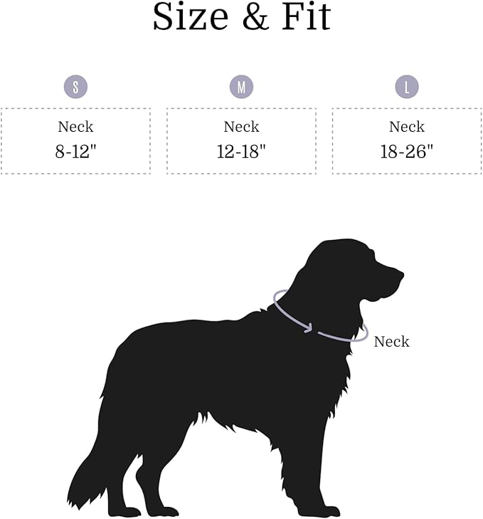 2026 New Edition, Fei & Eve Classic Dog Collar - Quick Release Metal Buckles | Fur-Safe | Premium 210D Nylon | 450LB Escape-Proof | Adjustable Fit | Small (Twilight Gray)