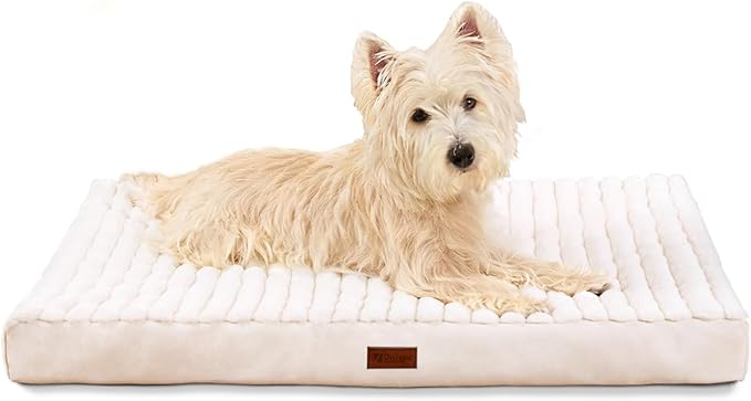 Orthopedic Dog Bed with Firm High-Density Egg Crate Foam Mattress,Machine Washable Cover & Non-Slip Bottom for Small Breeds & Toy Dogs (Beige, 23" L x 17" W x 3" H)