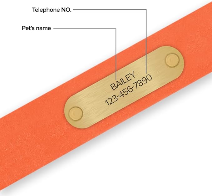 Regal Dog Products Large Orange with Custom Engraved Waterproof Dog Collar and Leash Set | Waterproof Dog Collar with Double Buckle & D Ring - 5'ft Leash | Matching Dog Collar and Leash for Dogs