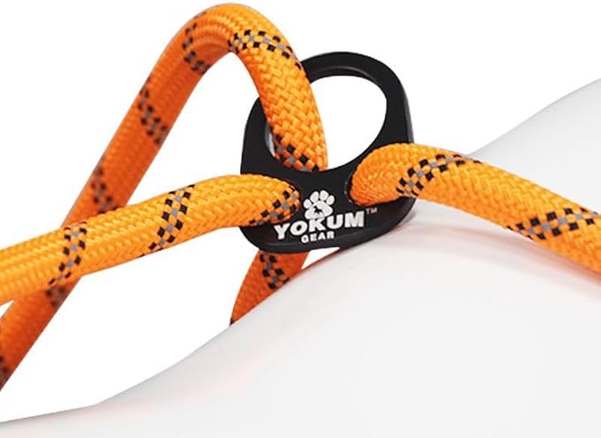 30ft Check Cord to Train Dog, Anti Pulling, Dog Leads for Walking, Double Hook & Escape Proof for All Breeds, Reflective Orange