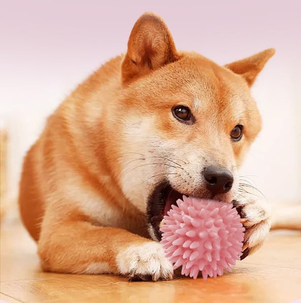 Soft Transparent Spiky Dog Chew Ball, 6.5 CM, Blue Bite Resistant Training Toy for Puppies and Cats Tool
