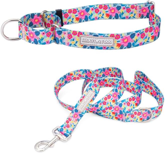 Lucky Love Dog Martingale Dog Collar & Leash - Adjustable, No-Slip, Durable, Comfortable, Soft Webbing, & Stylish Patterned Collar & Leash Set for Male and Female Dogs - Valentina Combo, Medium