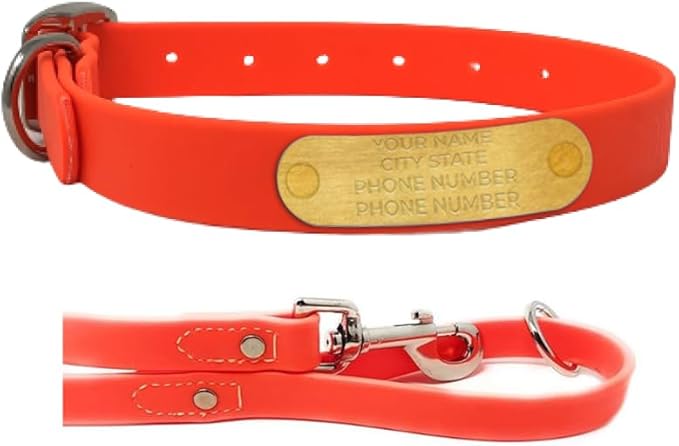 Regal Dog Products Large Orange with Custom Engraved Waterproof Dog Collar and Leash Set | Waterproof Dog Collar with Double Buckle & D Ring - 5'ft Leash | Matching Dog Collar and Leash for Dogs