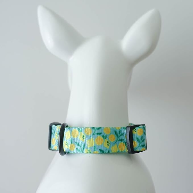 Dog Collars for Small Dogs - Safety Buckle Durable Plastic Light-Weight, Soft Adjustable Boy Dogs Collar for Small Dog Collar with Flower Patterns (Light Green, S)