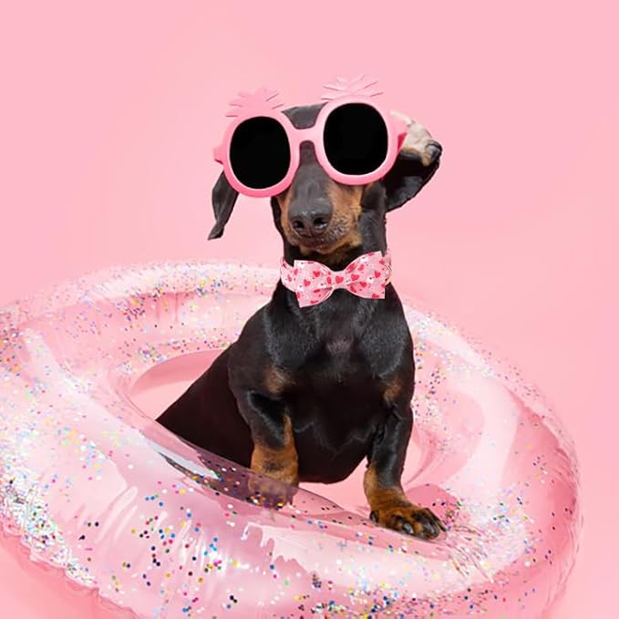 Unique Style Paws Valentine's Dog Collar with Bow Love Letter Lock Cotton Puppy Collars Wedding for Small Medium Large Dogs