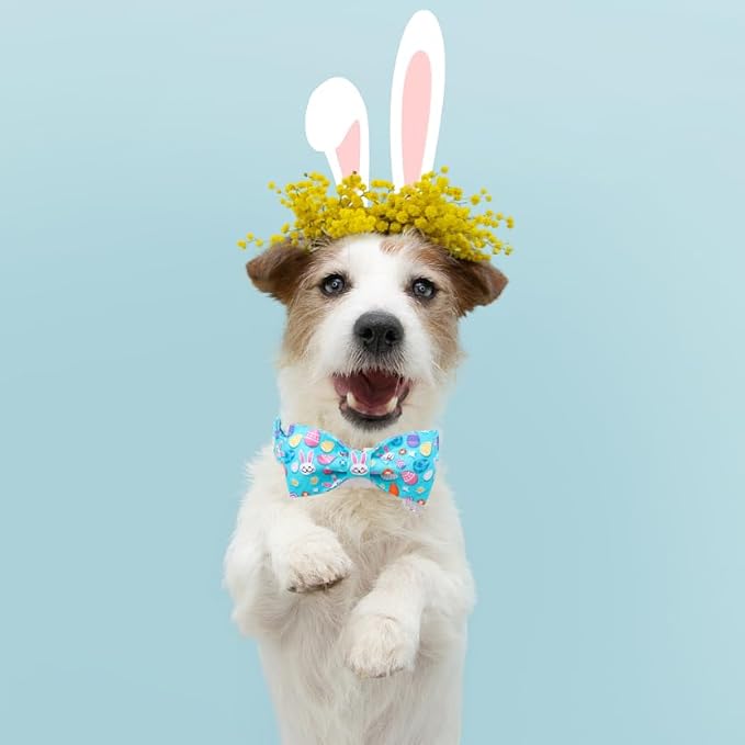 DOGWONG Cotton Easter Dog Collar with Bowtie, Soft Adjustable Blue Rabbit Easter Day Dog Collar Cute Egg Puppy Collar for Small Medium Large Dog