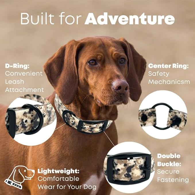 Regal Dog Products Large Camo Hunting Dog Collar with Custom Engraved Name Plate & Black Hardware | Waterproof Personalized Dog Collars for Big & XL Dog | Other Sizes for Puppies, Small & Medium Dogs