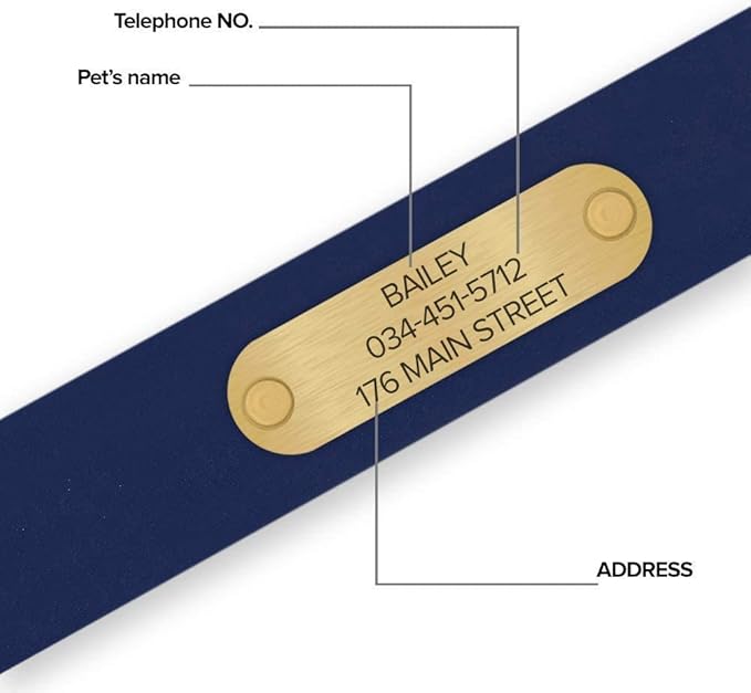 Regal Dog Products Large Blue Waterproof Dog Collars with Custom Engraved Name Plate | Vinyl Coated, Anti, Easy to Clean Personalized Biothane Dog Collar - Other Sizes for Small & Medium Dogs
