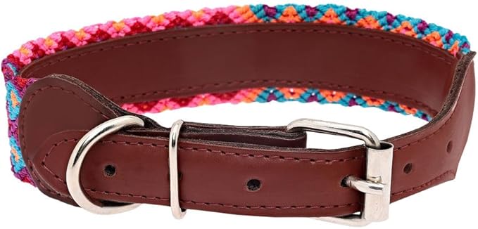 Eternia Premium Leather Dog Collar - Adjustable Handcrafted Collar for Small to Large Dogs (Pink/Orange, M)