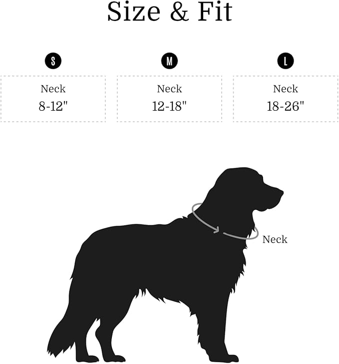 2026 New Edition, Fei & Eve Classic Dog Collar - Quick Release Metal Buckles | Fur-Safe | Premium 210D Nylon | 450LB Escape-Proof | Adjustable Fit | Medium (Black)