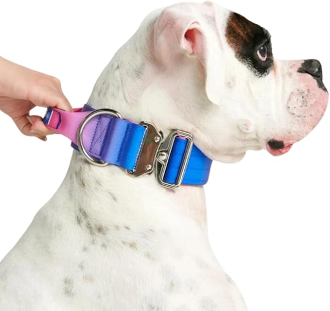 Spark Paws Tactical Dog Collar with Handle - Premium Quality Collar, Robust and Durable Design for Large, Strong Breeds - Pitbulls, Labradors, GSD - Snow Cone - M - 1.5"
