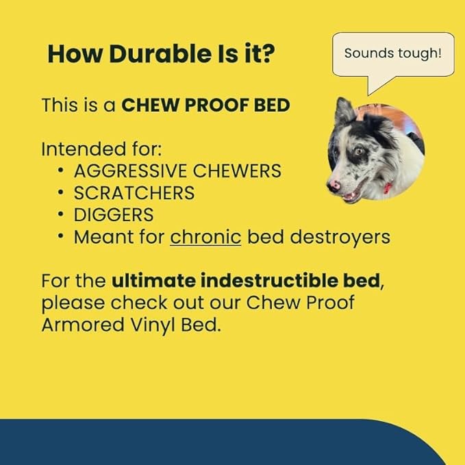 K9 Ballistics Chew Proof Elevated Outdoor Cooling Cot Bed for Large Dogs - Virtually Indestructible, Preassembled, Withstands Aggressive Chewers - L, Ripstop Blue Quartz